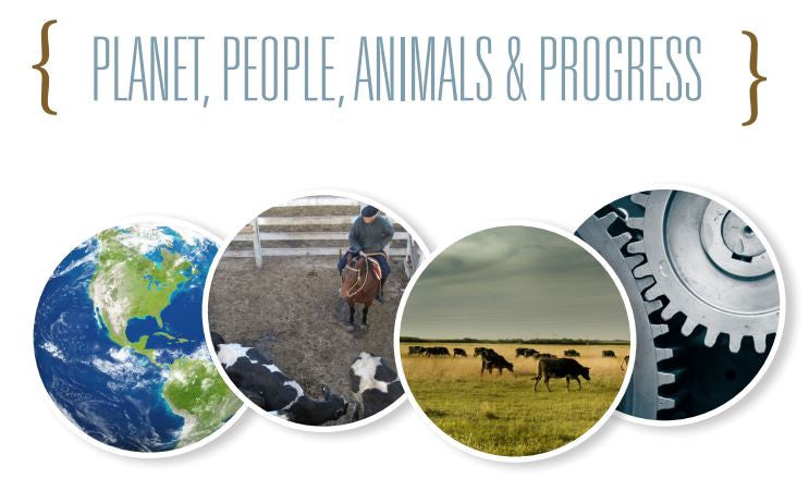 What is Sustainable Living?