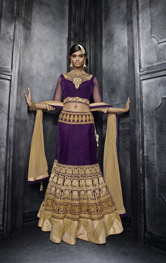 Voilet Color Velvet Lehenga Choli