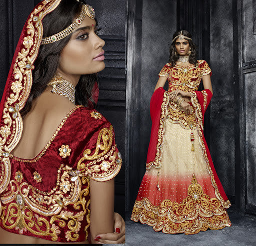 Shaded Light Beige And Light Color Net Lehenga Choli