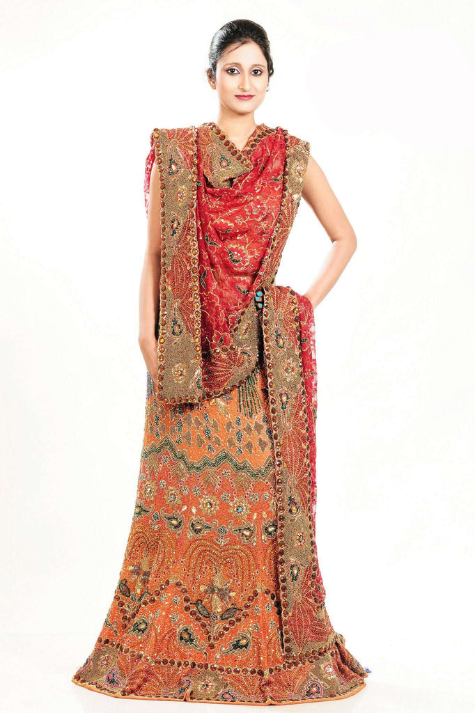 Embroidered Tissue and Net Work Lehanga Choli - RAJSHRIFASHIONS