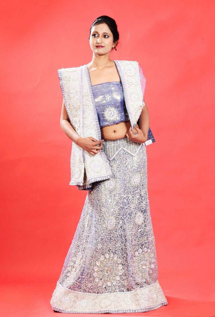 Purple and Violet color  Wedding Lehanga Choli