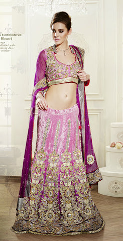 Royal Pictorial Designer Lehenga