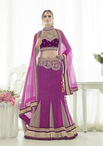 Classy Pink With Chiku Net Embroidery Lehenga Choli