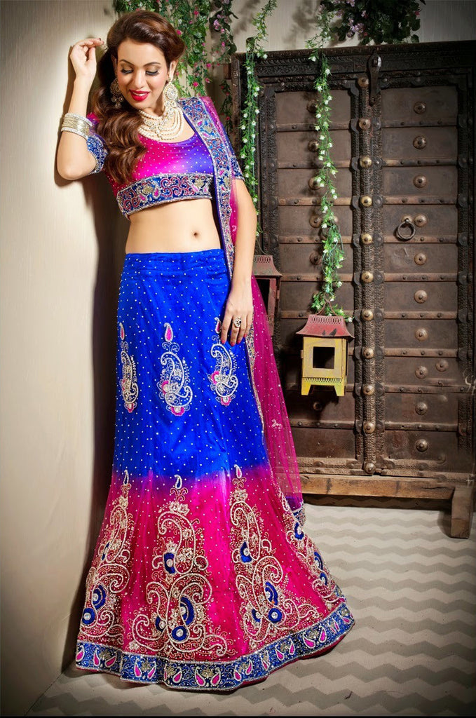 Pink And Blue Net Embroidery Work Lehanga Choli