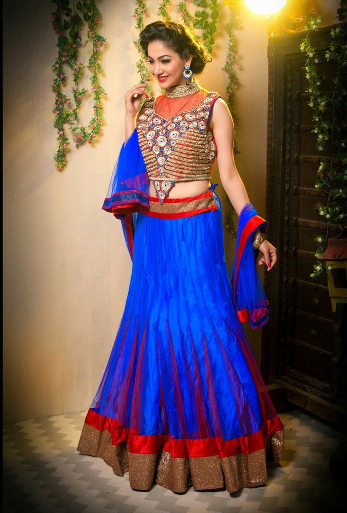 Blue With Orange Net Embroidery Lehanga choli