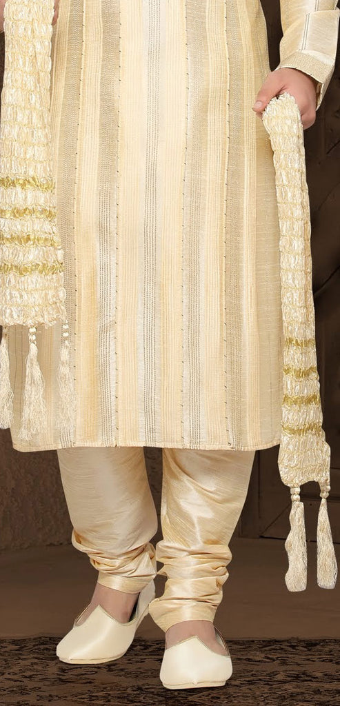 Fawn Dupion art silk Embroidery Kurta Pyjama