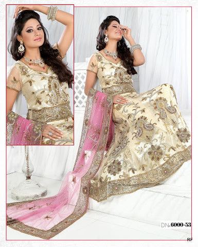 Pretty cream net lehenga choli With Duppatta